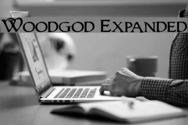 Woodgod Expanded Font examples