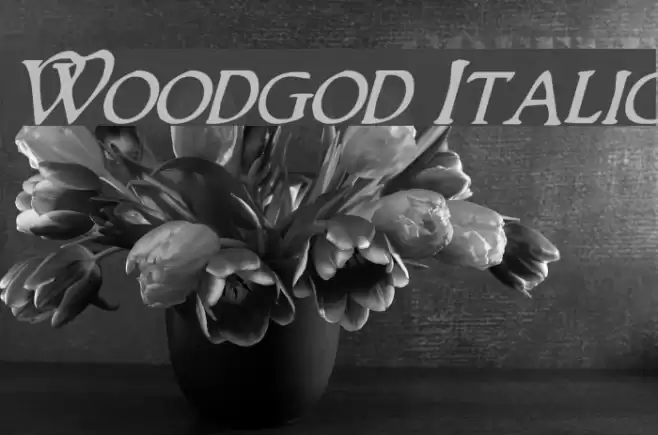 Woodgod Italic Font examples