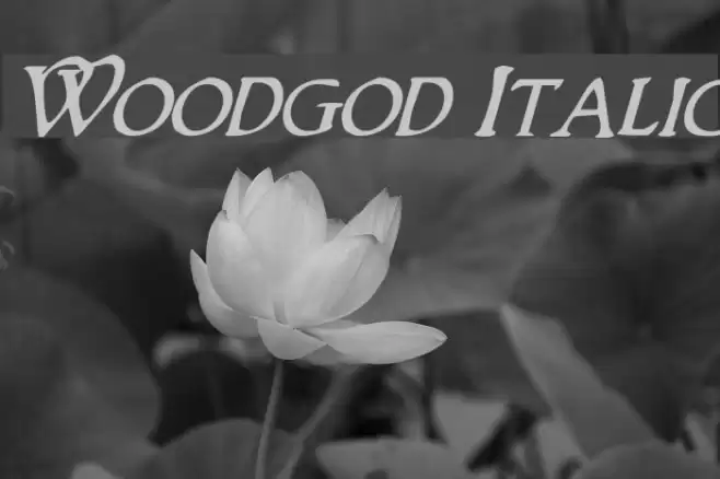 Woodgod Italic Font examples