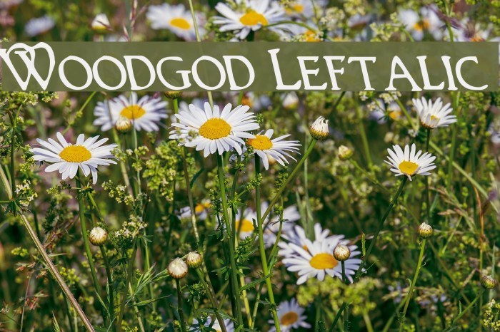Woodgod Leftalic Font examples
