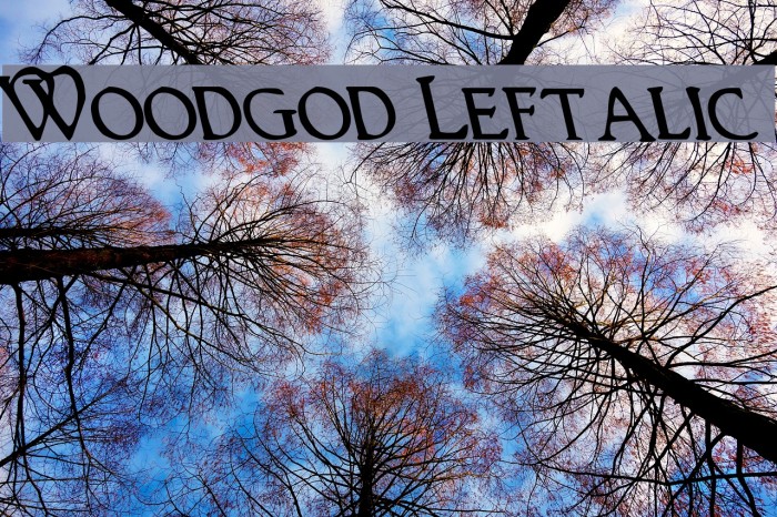 Woodgod Leftalic Font examples