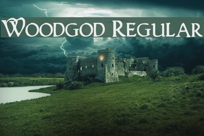 Woodgod Regular Font examples