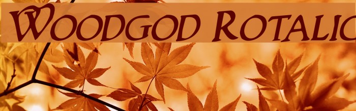 Woodgod Rotalic Font examples