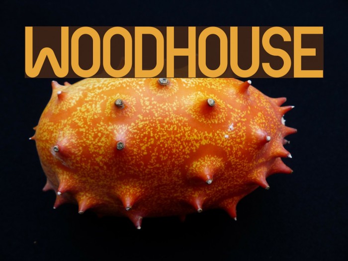 Woodhouse Font examples