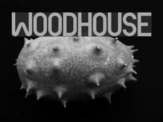 Woodhouse Font examples