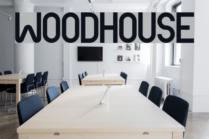 Woodhouse Font examples