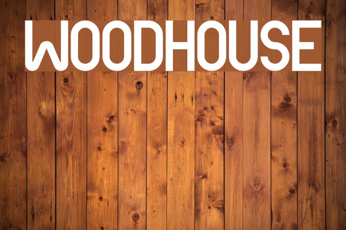 Woodhouse Font examples