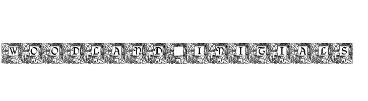 Woodland_Initials  Descarca Fonturi Gratis
