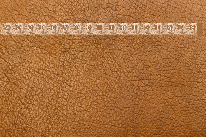 Woodland_Initials Example 3
