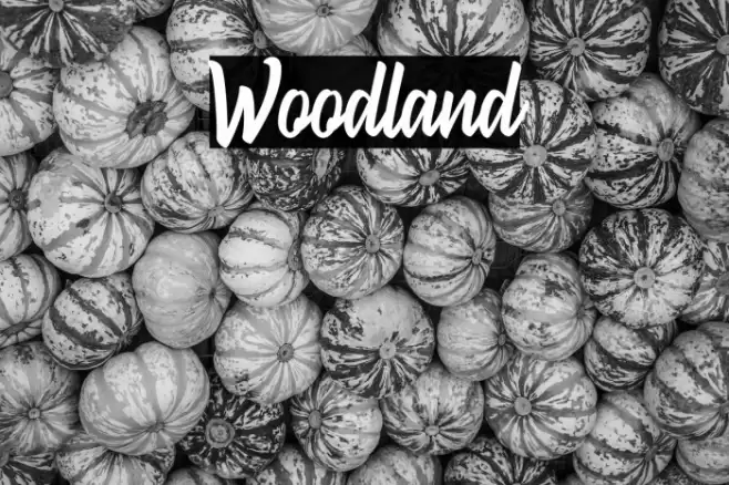 Woodland Font examples