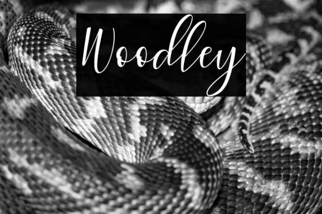 Woodley Font examples