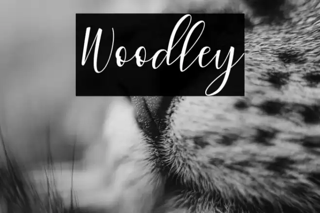 Woodley Font examples