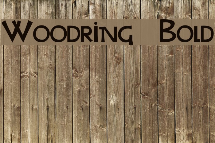 Woodring Bold Polices examples