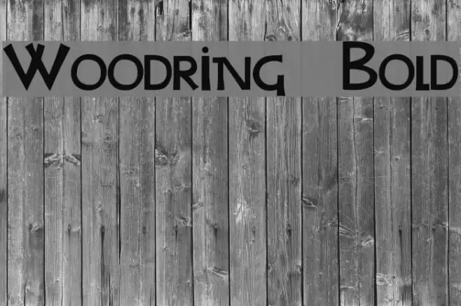 Woodring Bold Font examples