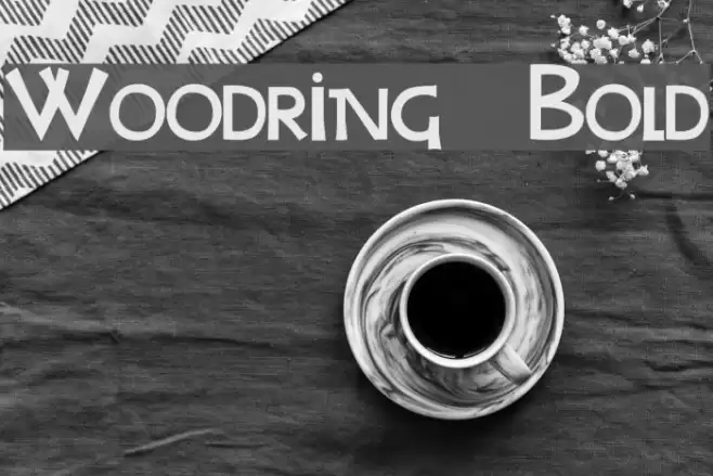 Woodring Bold Font examples