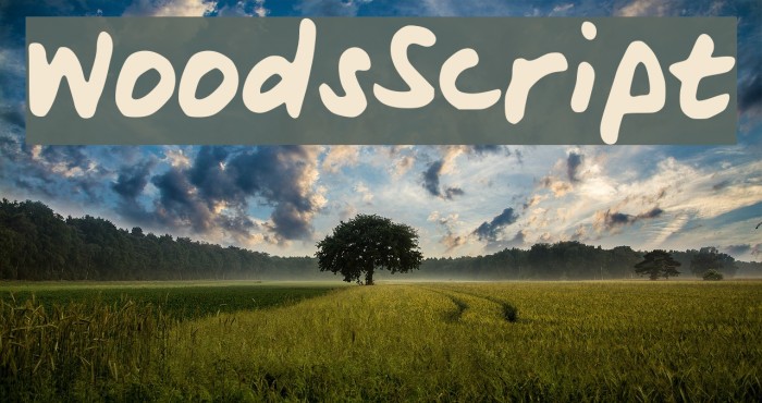 WoodsScript Шрифта examples