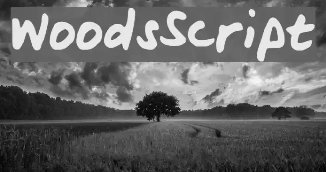 WoodsScript Font examples