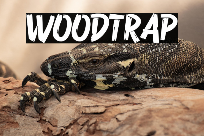 Woodtrap Example 1
