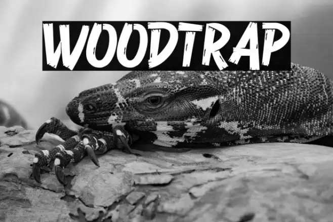Woodtrap Font examples