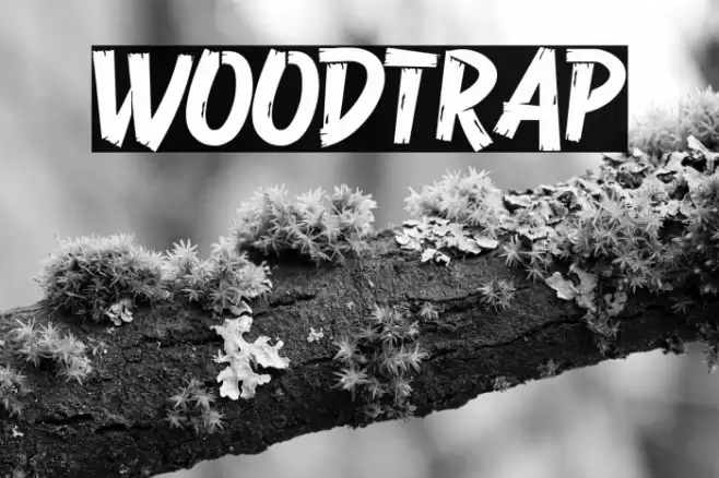 Woodtrap Font examples