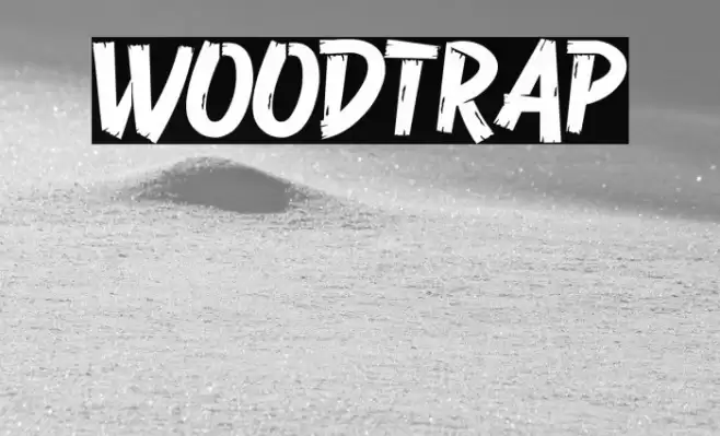 Woodtrap Font examples