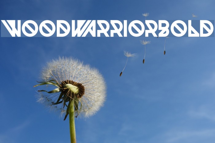 Woodwarrior-Bold Fuentes examples