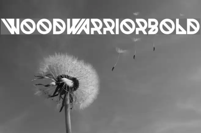 Woodwarrior-Bold Font examples
