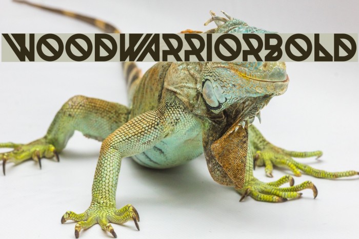 Woodwarrior-Bold Fuentes examples