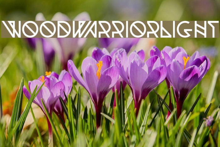 Woodwarrior-Light Font examples