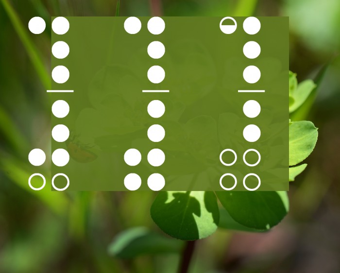 Woodwind Tablature Rec1.1 Font examples