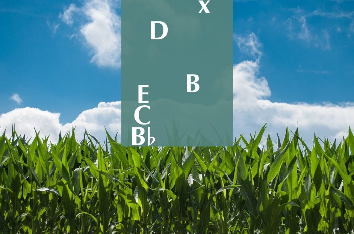 Woodwind Tablature Sax US Example 3