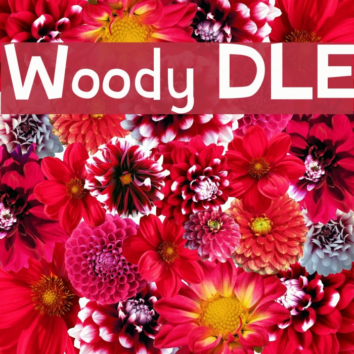 Woody DLE Font examples