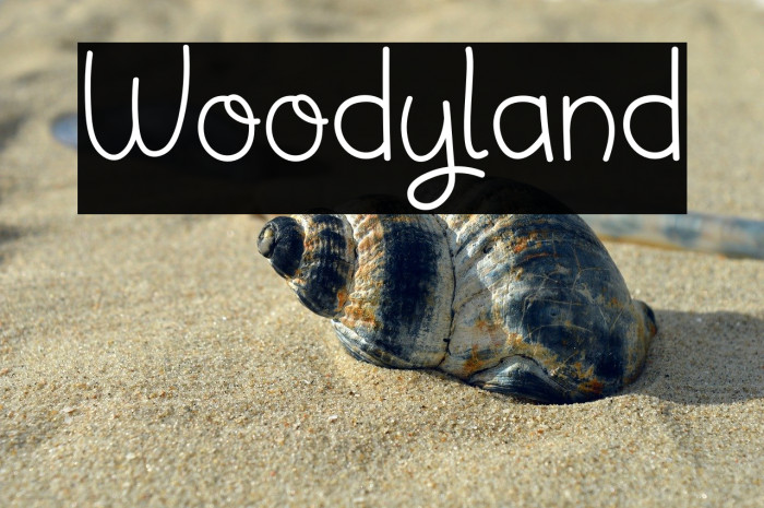 Woodyland Example 1