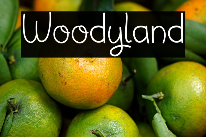 Woodyland Example 3