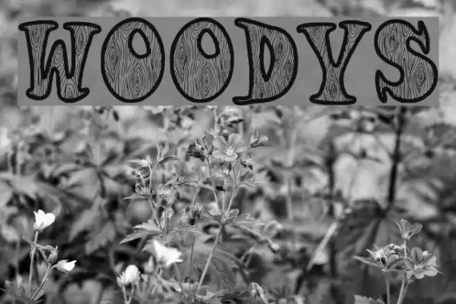 Woodys Font examples