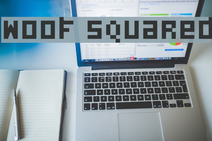 Woof Squared Font examples