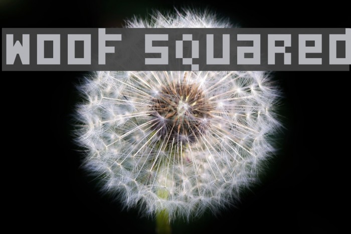 Woof Squared Font examples