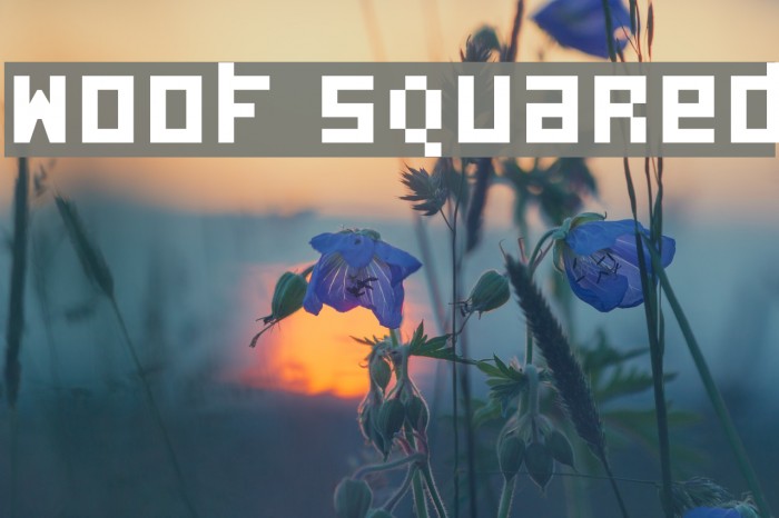 Woof Squared Font examples