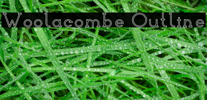 Woolacombe Outline Font examples