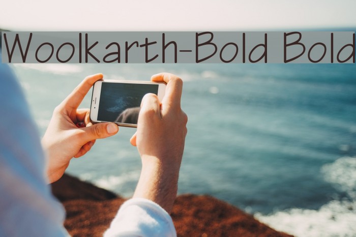 Woolkarth-Bold Bold Font examples