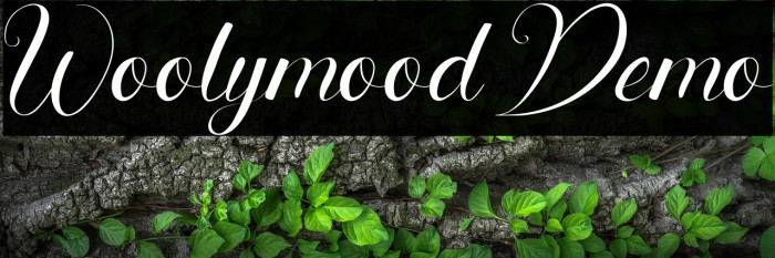Woolymood Demo Example 2
