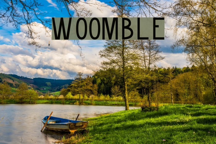 Woomble Font examples