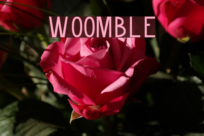 Woomble Font examples