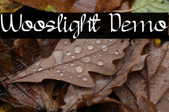 Wooslight Demo Example 1