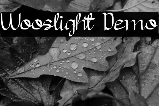 Wooslight Demo Font examples