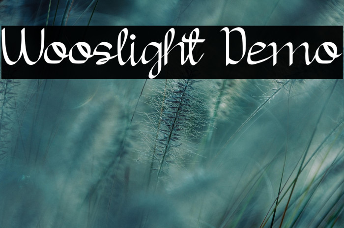 Wooslight Demo Example 2