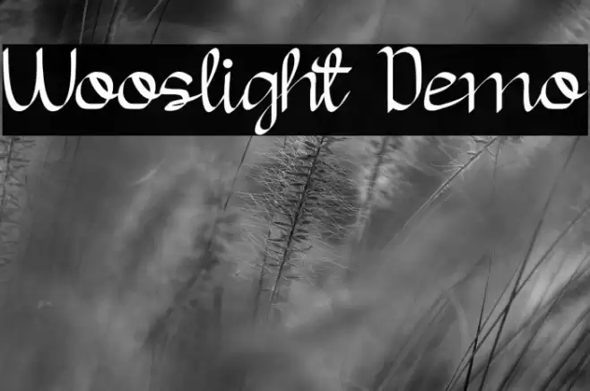 Wooslight Demo Font examples