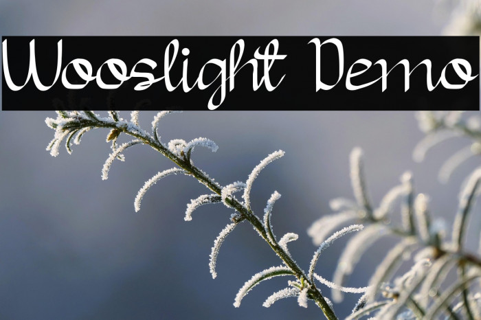 Wooslight Demo Example 3