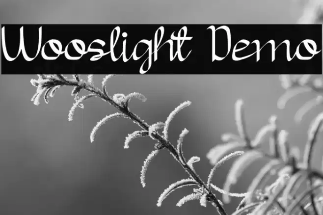 Wooslight Demo Font examples