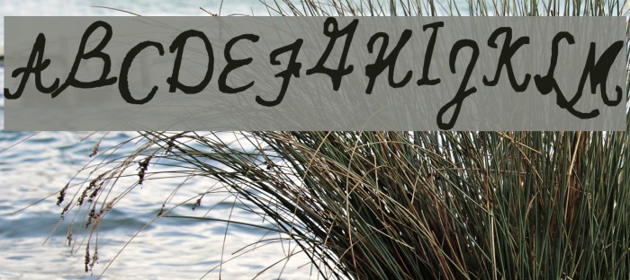 Woozy Wobble Demo Font examples
